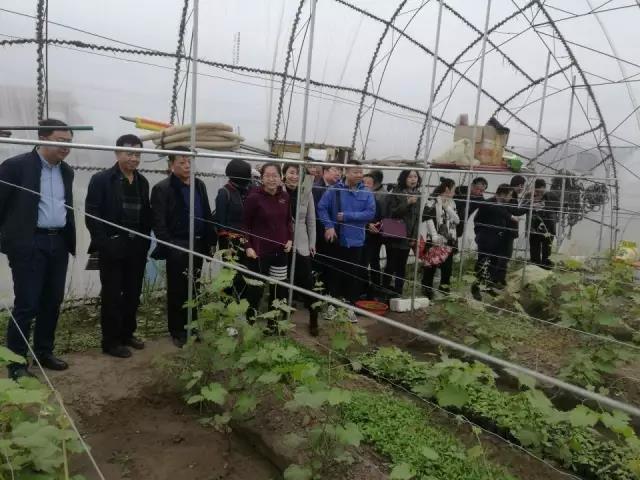 微信图片_20170520094704.jpg 微信图片_20170520094704.jpg