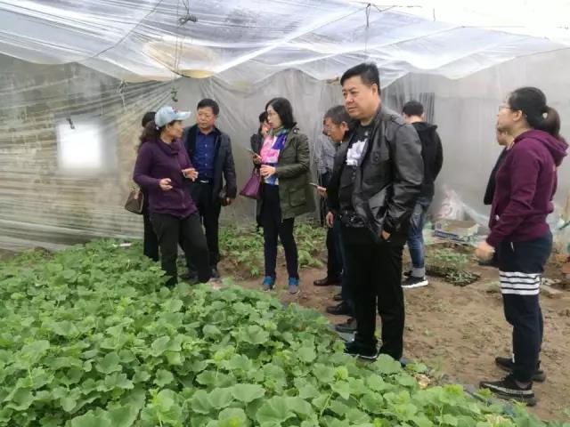 微信图片_20170520094859.jpg 微信图片_20170520094859.jpg