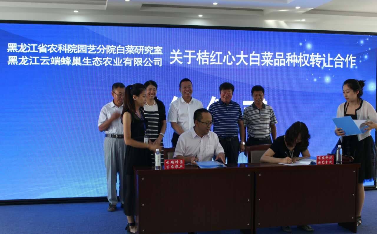 22-160Q01323224X.jpg 22-160Q01323224X.jpg