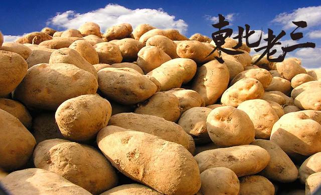 12da0003034839e3a015.jpg 12da0003034839e3a015.jpg