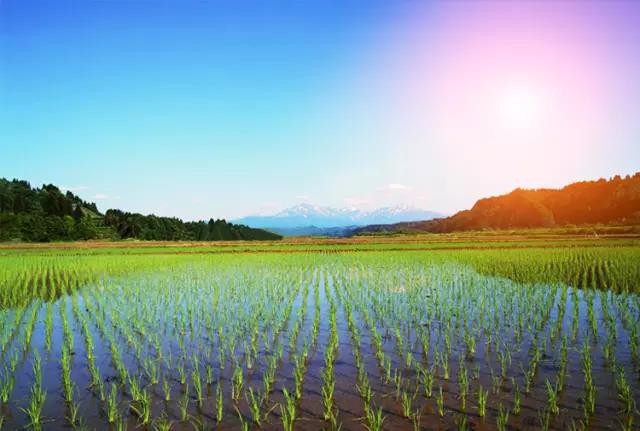 微信图片_20170523111830.jpg 微信图片_20170523111830.jpg