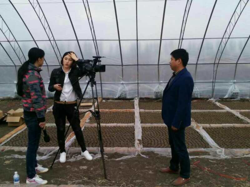 微信图片_20170526105209.jpg 微信图片_20170526105209.jpg