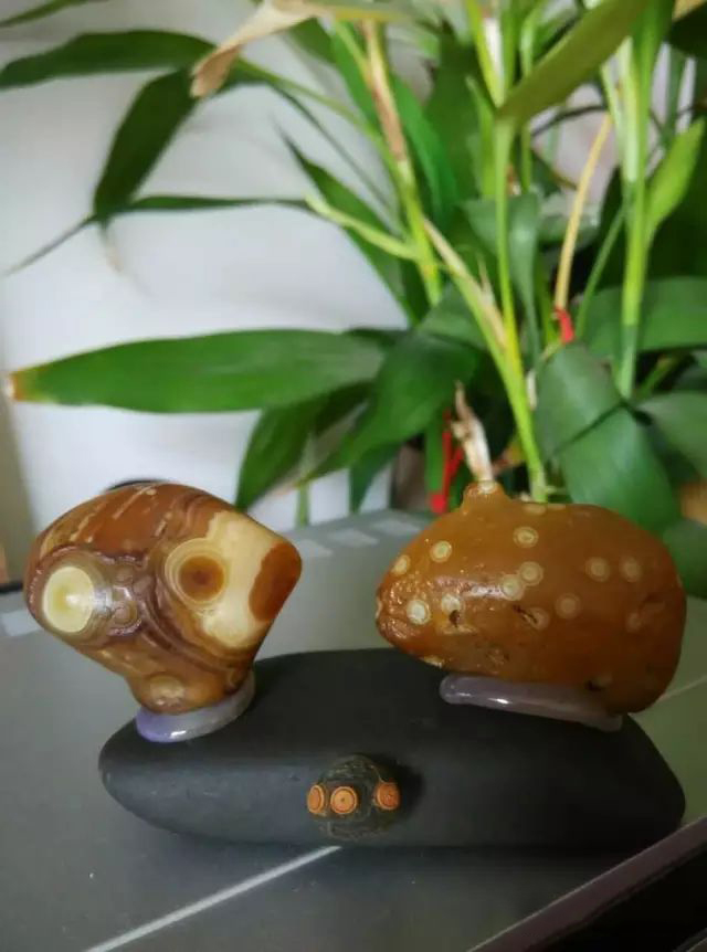 2.5_结果.jpg 2.5_结果.jpg