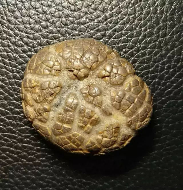 3.4_结果.jpg 3.4_结果.jpg