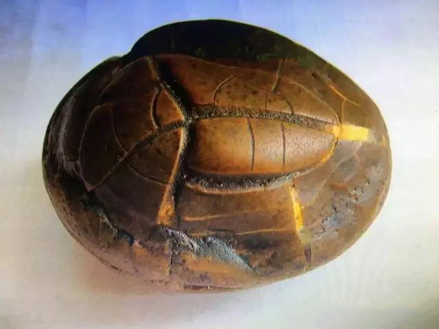 3.5_结果.jpg 3.5_结果.jpg