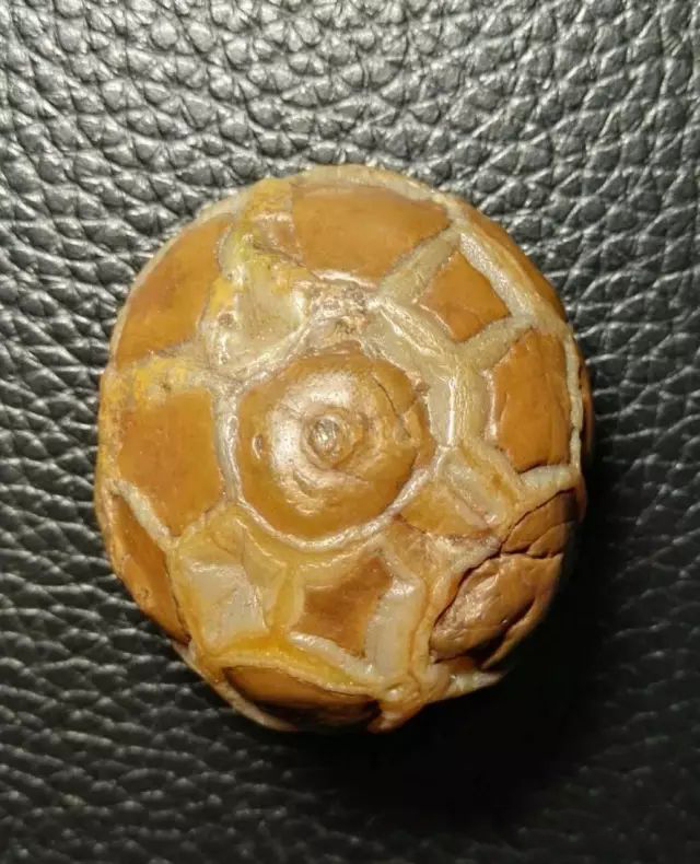 3.3_结果.jpg 3.3_结果.jpg