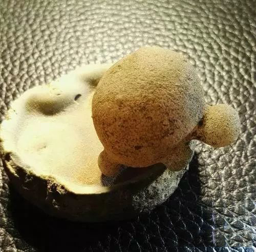 4.5_结果.jpg 4.5_结果.jpg