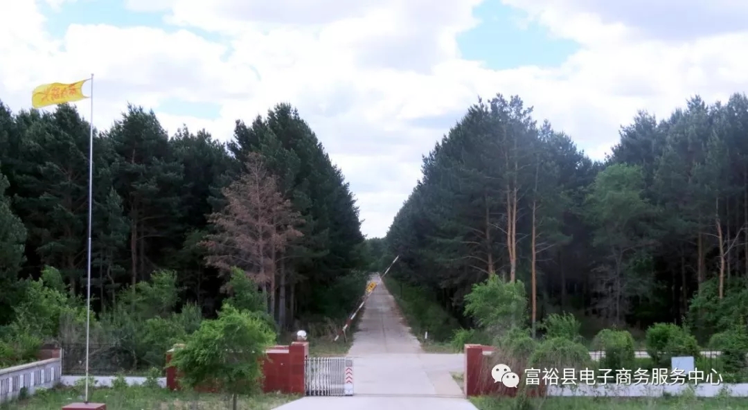 640.webp.jpg 640.webp.jpg