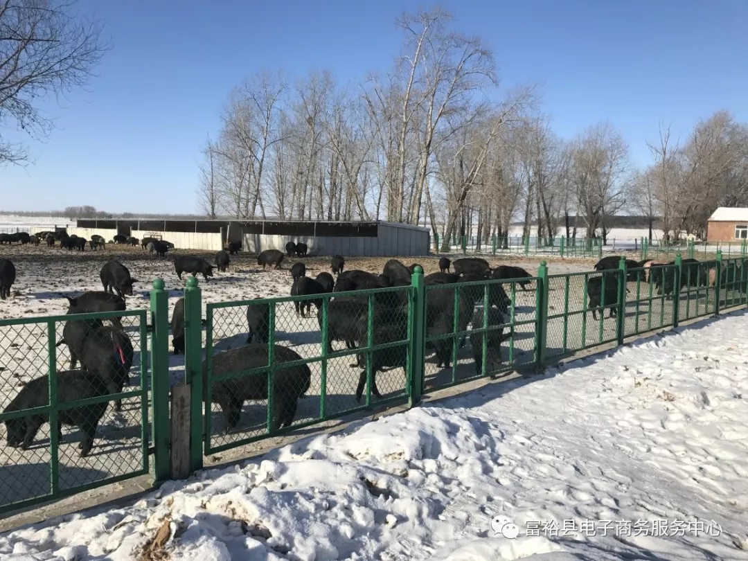 640.webp.jpg 640.webp.jpg