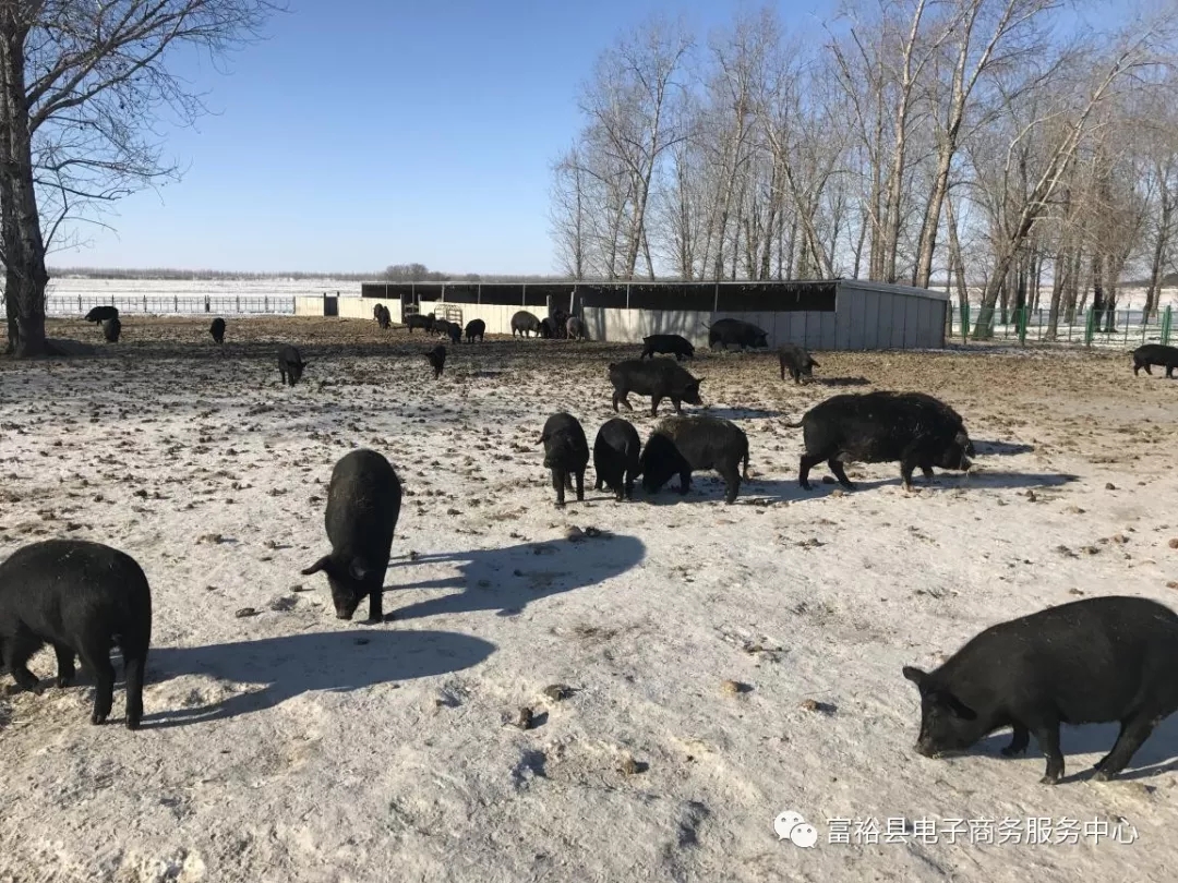 640.webp.jpg 640.webp.jpg