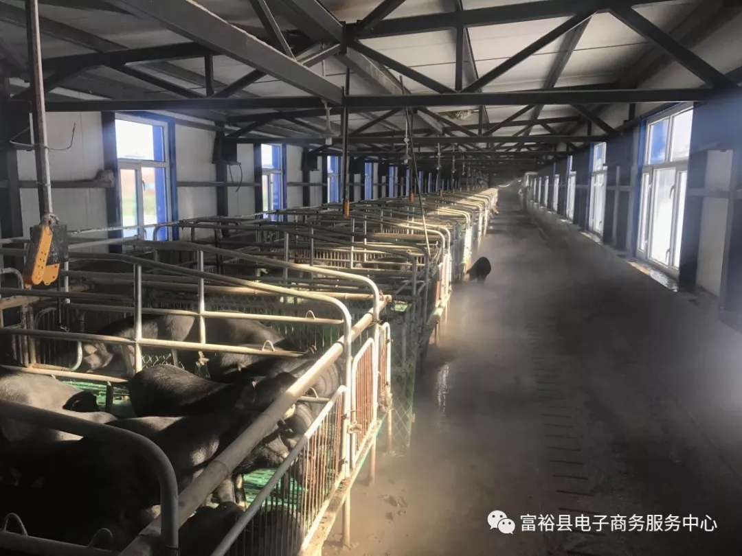 640.webp.jpg 640.webp.jpg