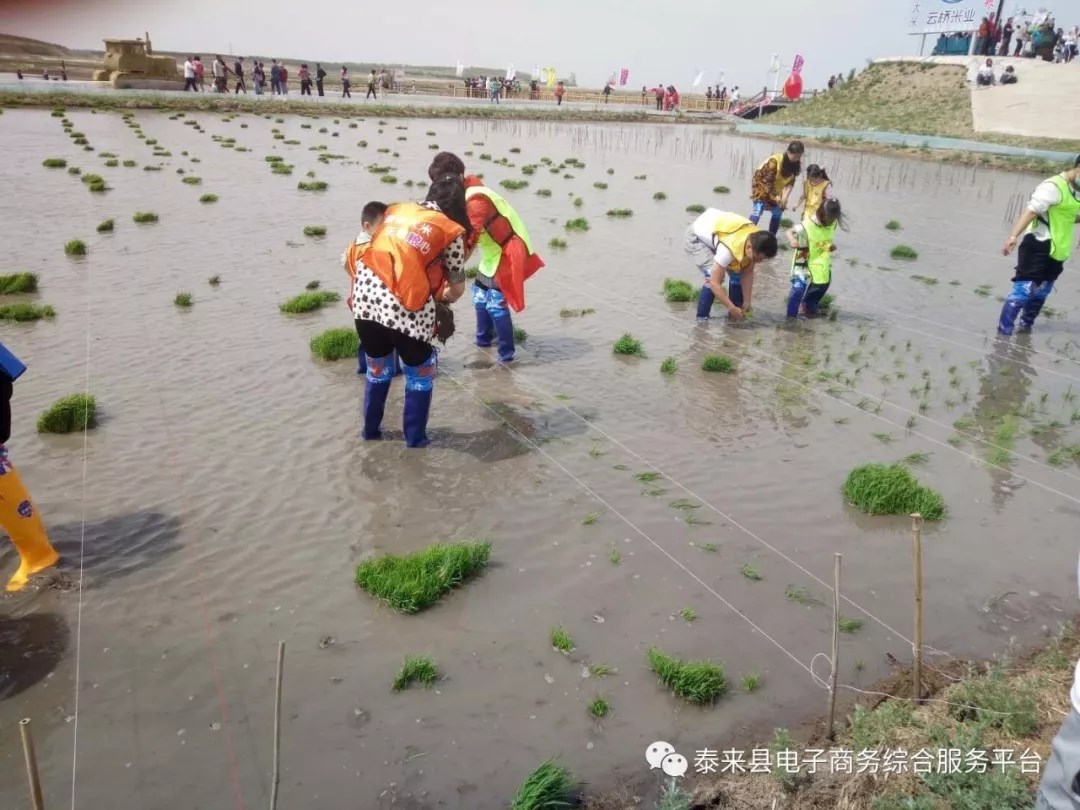 35.webp.jpg 35.webp.jpg