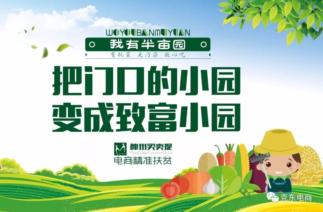 43.webp.jpg 43.webp.jpg