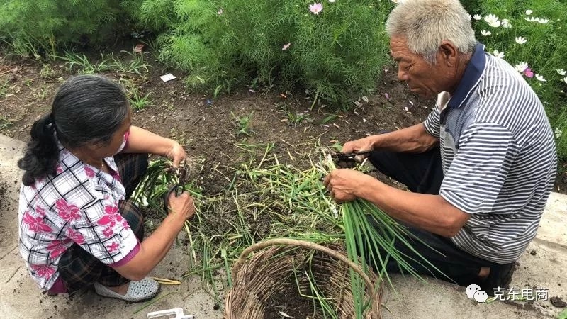 640.webp (11).jpg 640.webp (11).jpg