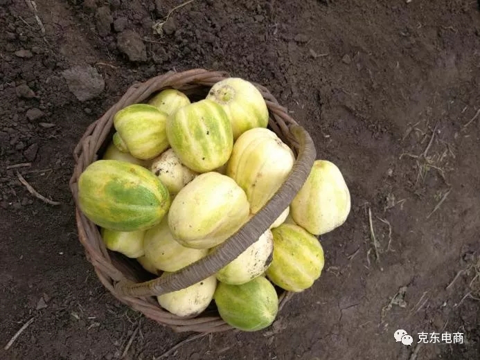 640.webp (4).jpg 640.webp (4).jpg