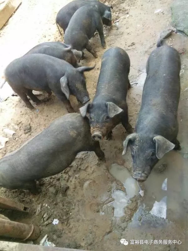 640.webp (4).jpg 640.webp (4).jpg