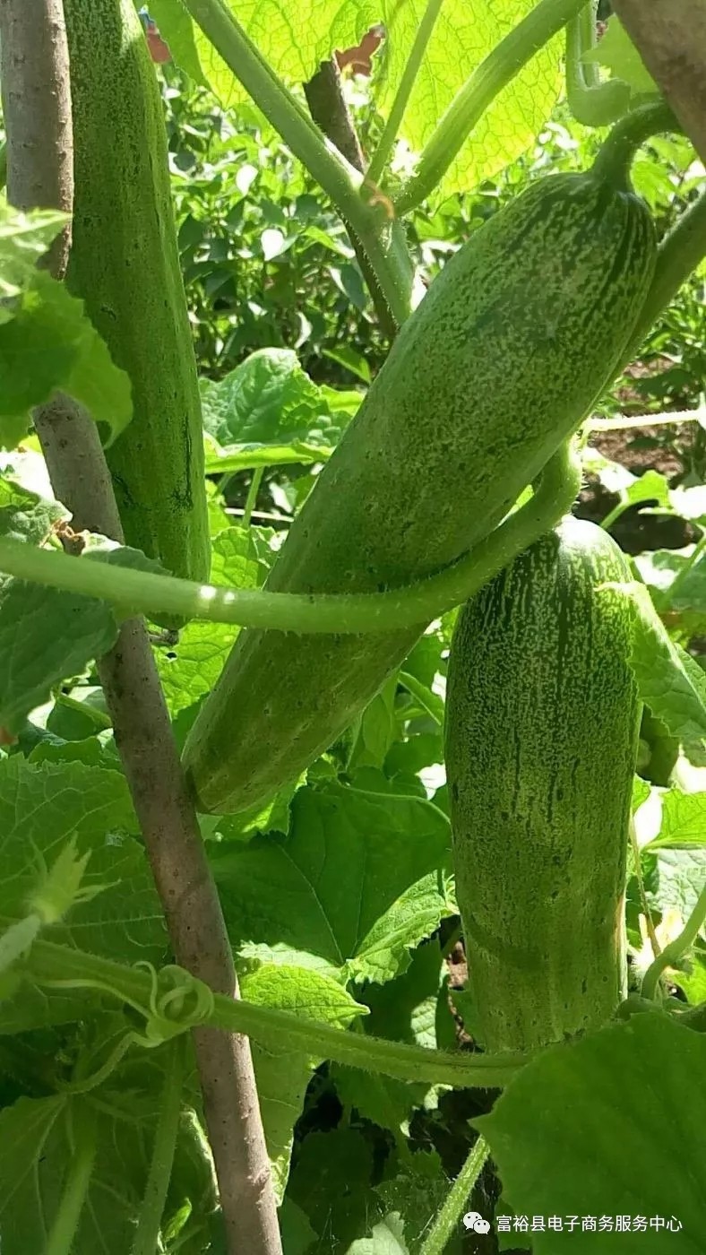 640.webp (7).jpg 640.webp (7).jpg