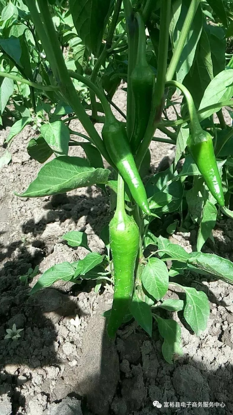 640.webp (8).jpg 640.webp (8).jpg