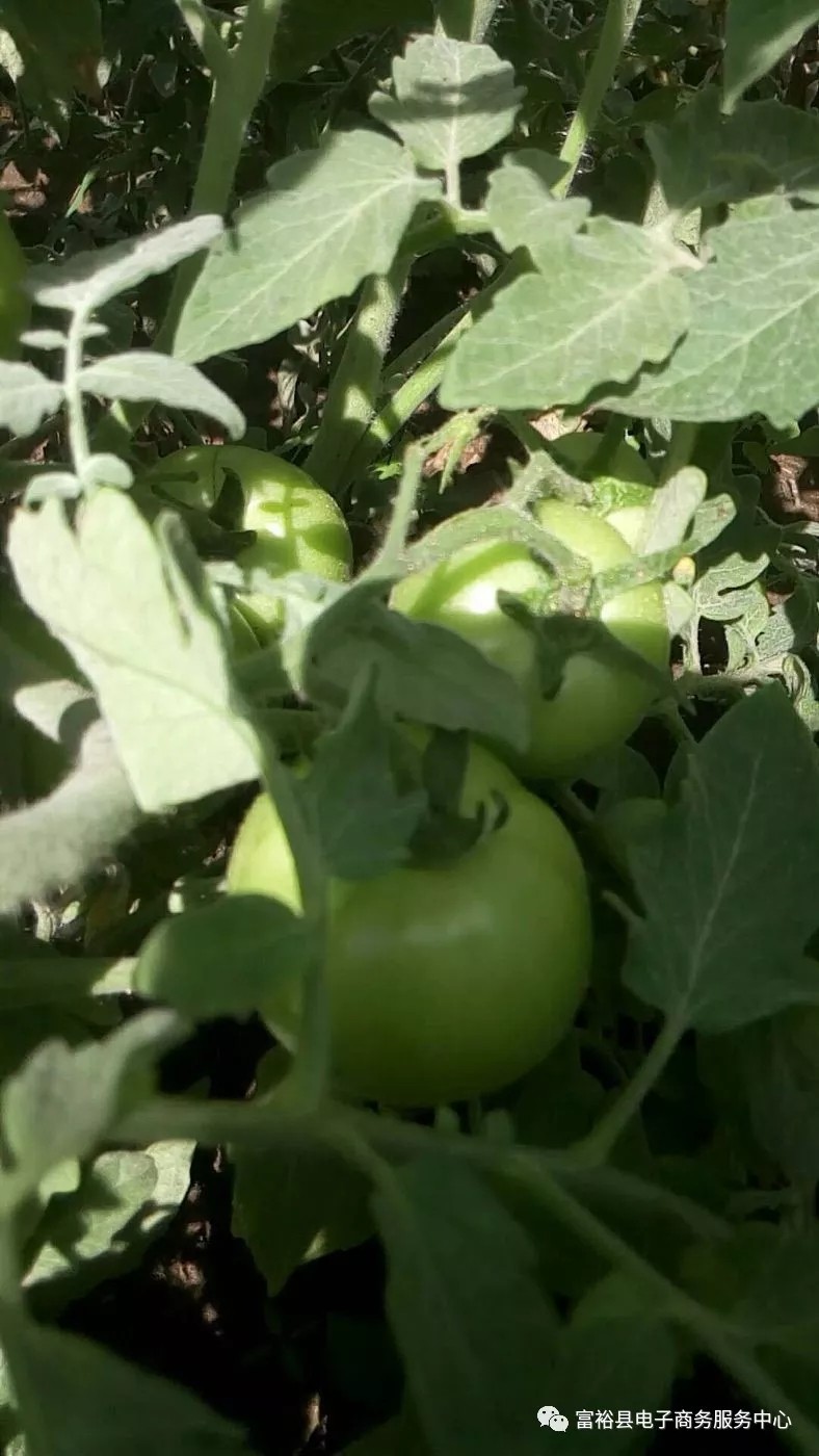 640.webp (9).jpg 640.webp (9).jpg