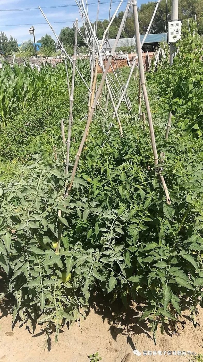 640.webp (10).jpg 640.webp (10).jpg