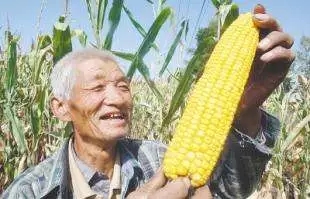 640.webp (22).jpg 640.webp (22).jpg