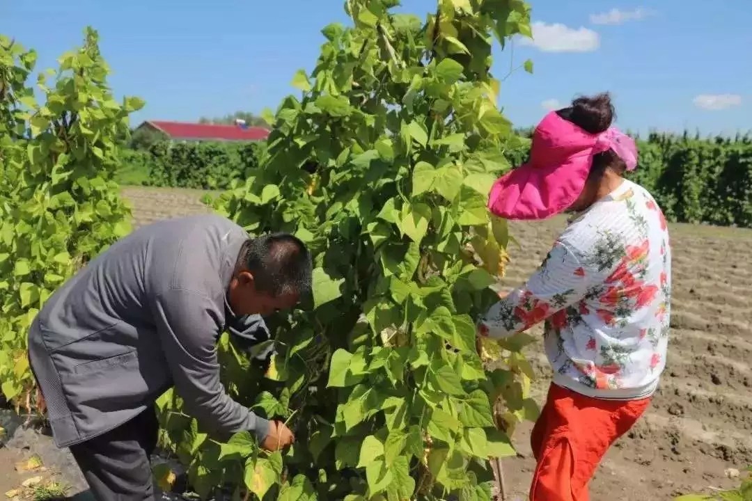 640.webp (24).jpg 640.webp (24).jpg