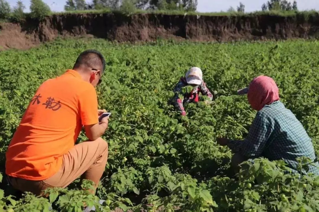 640.webp (26).jpg 640.webp (26).jpg